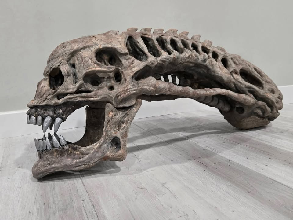 Xenomorph skull movie alien