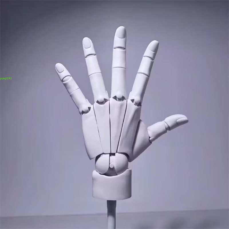 Hand Model Movable Finger Joint Sculptures Anime Painting Element Art Tool 1:1