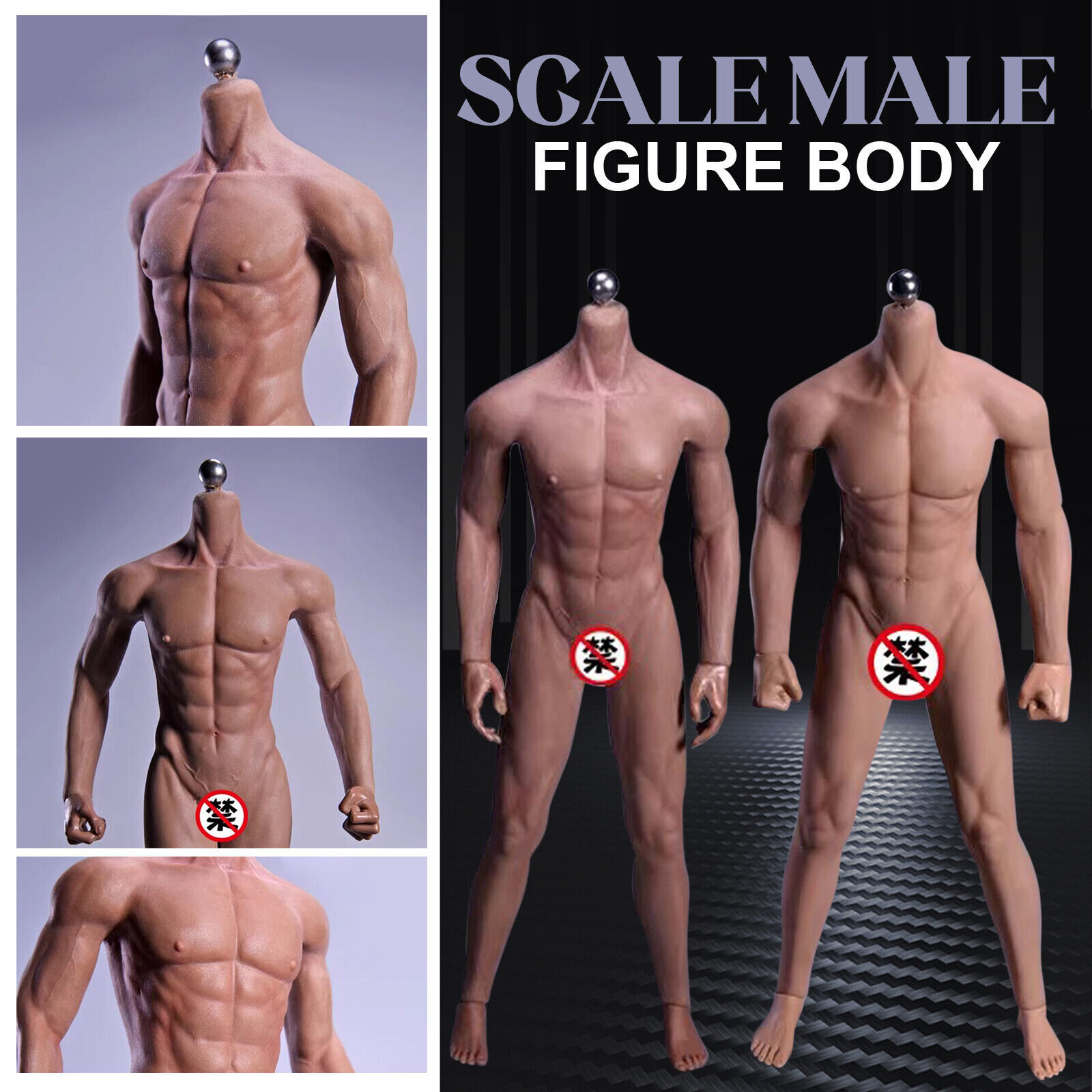 1/6 Seamless Muscular Male Body 12&Prime; Figure Muscle Doll Model USANT
