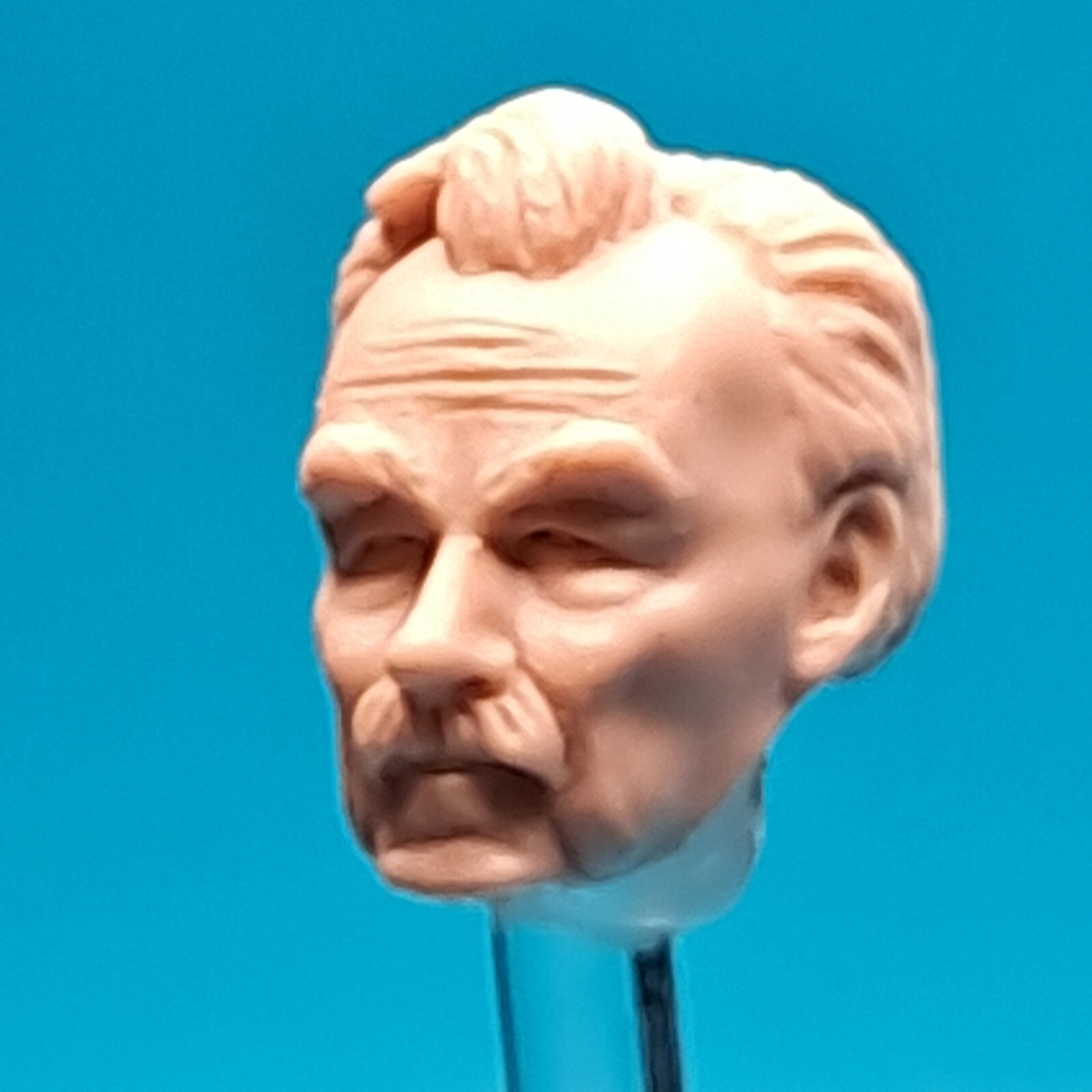 Star Wars Rycar Ryjerd Cantina Patron Custom Head Cast TVC 3-3/4&Prime; 1:18 Scale