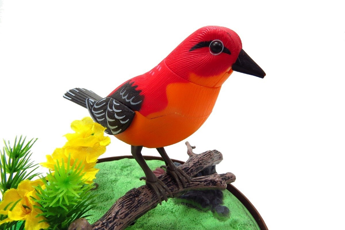 Realistic Singing & Chirping Bird In a Cage Gift Set