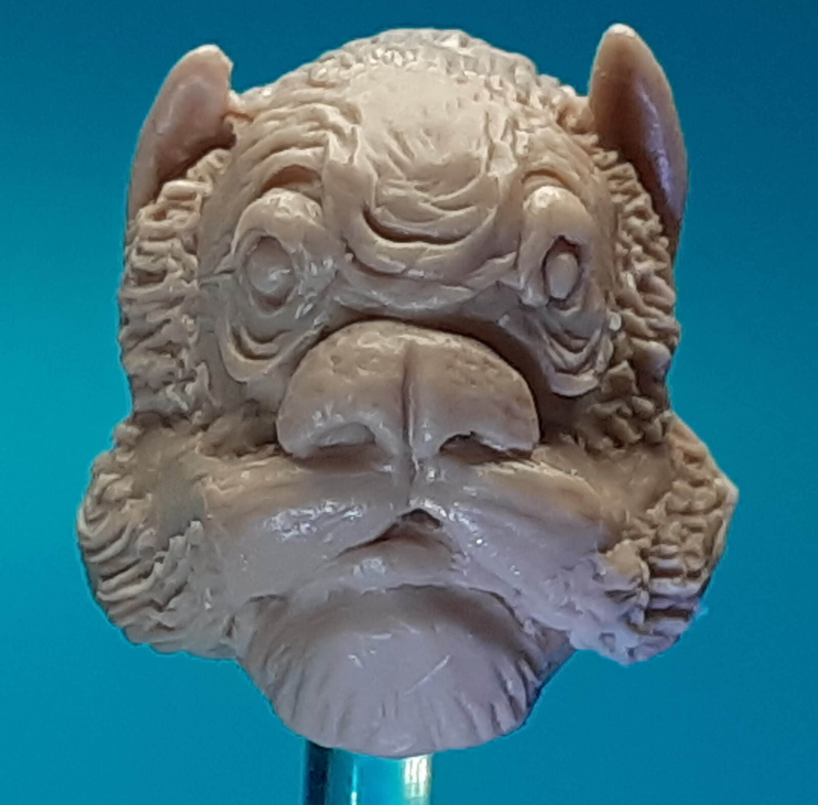 Star Wars Lutrillian Cantina Alien Custom HeadCast TVC 3-3/4&Prime; 1:18