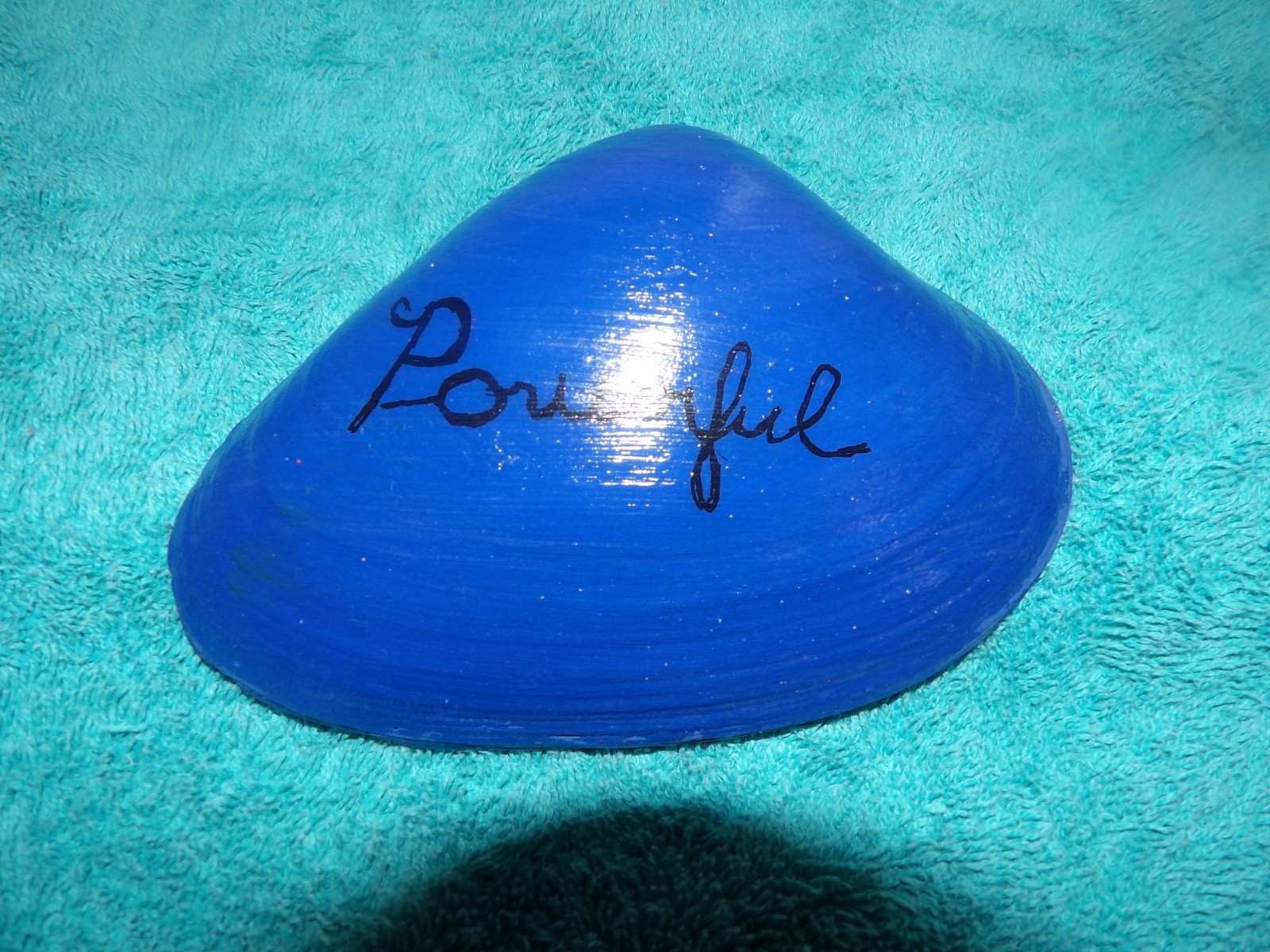 Magic By The Seashell, Enchanted & Powerful Seashells, You Choose Color & Intent
