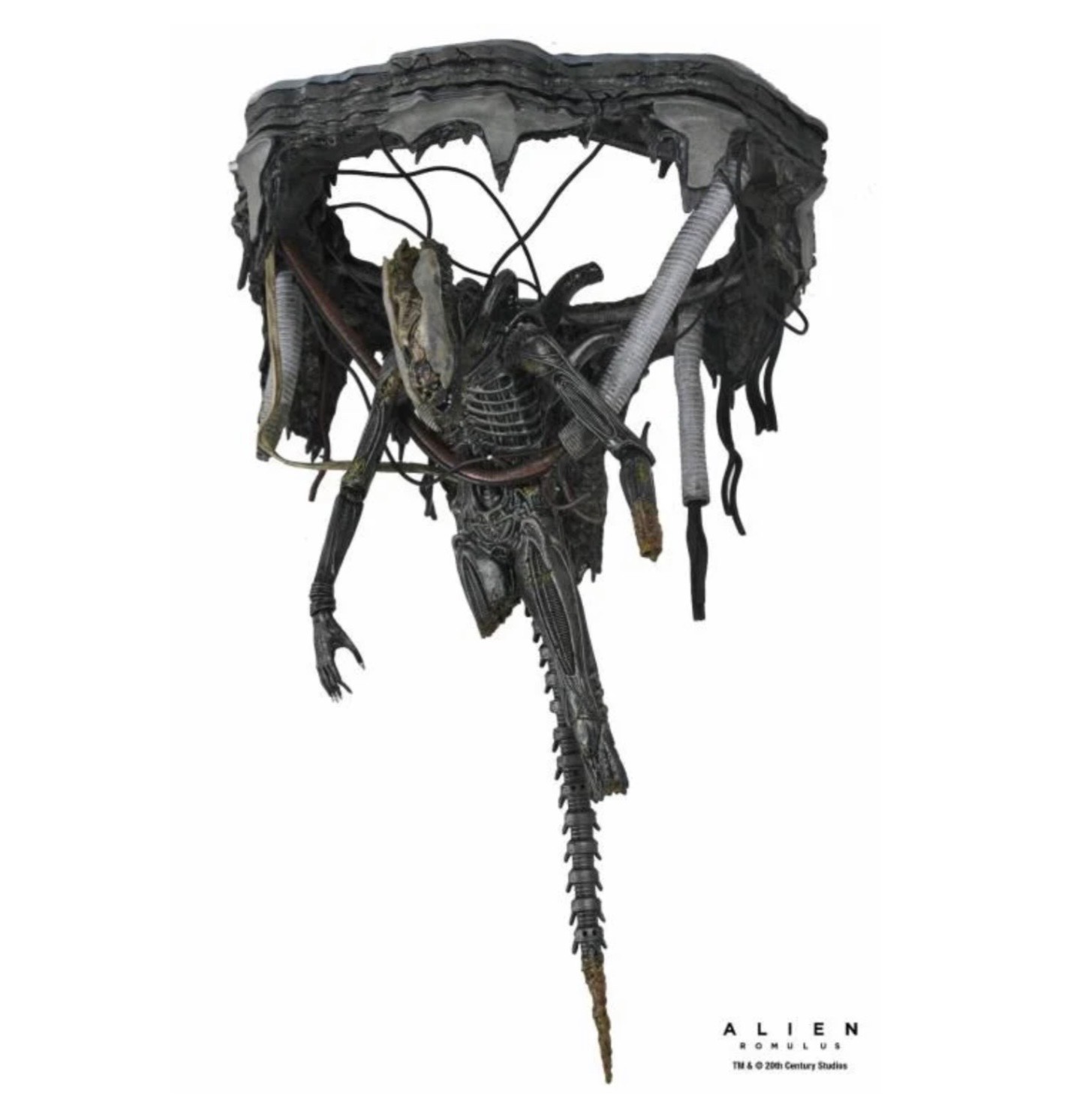 NECA ALIEN ROMULUS FIGURE Suspended Lab Xenomorph