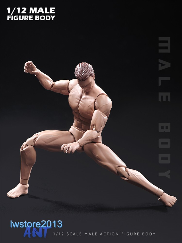 In Stock ANT 1:12 AM116 Muscular 6 inch Male Action Figure Head Body Shoes Toys