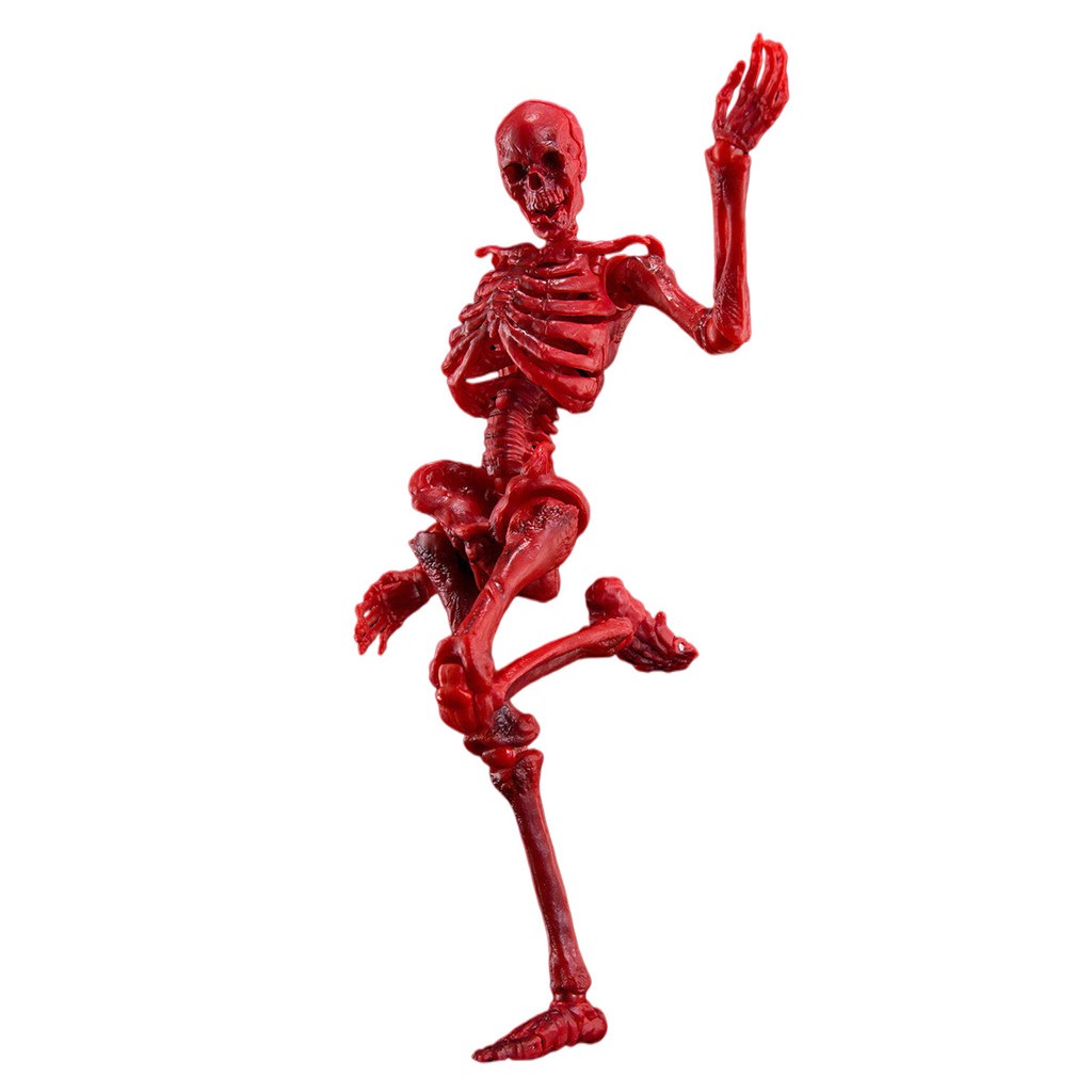 HIPLAY KEEPGOING Biology Classroom Human Skeleton Articulated Model 1/12 Figure