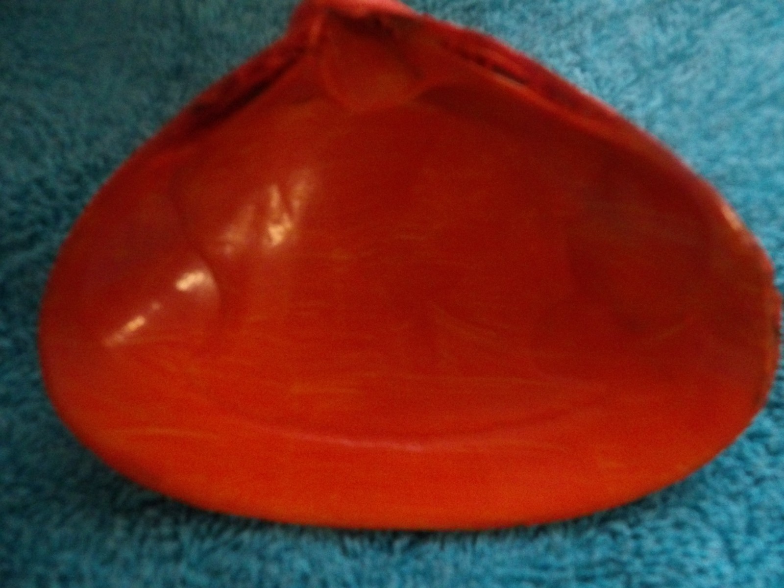 Magic By The Seashell, Enchanted & Powerful Seashells, You Choose Color & Intent