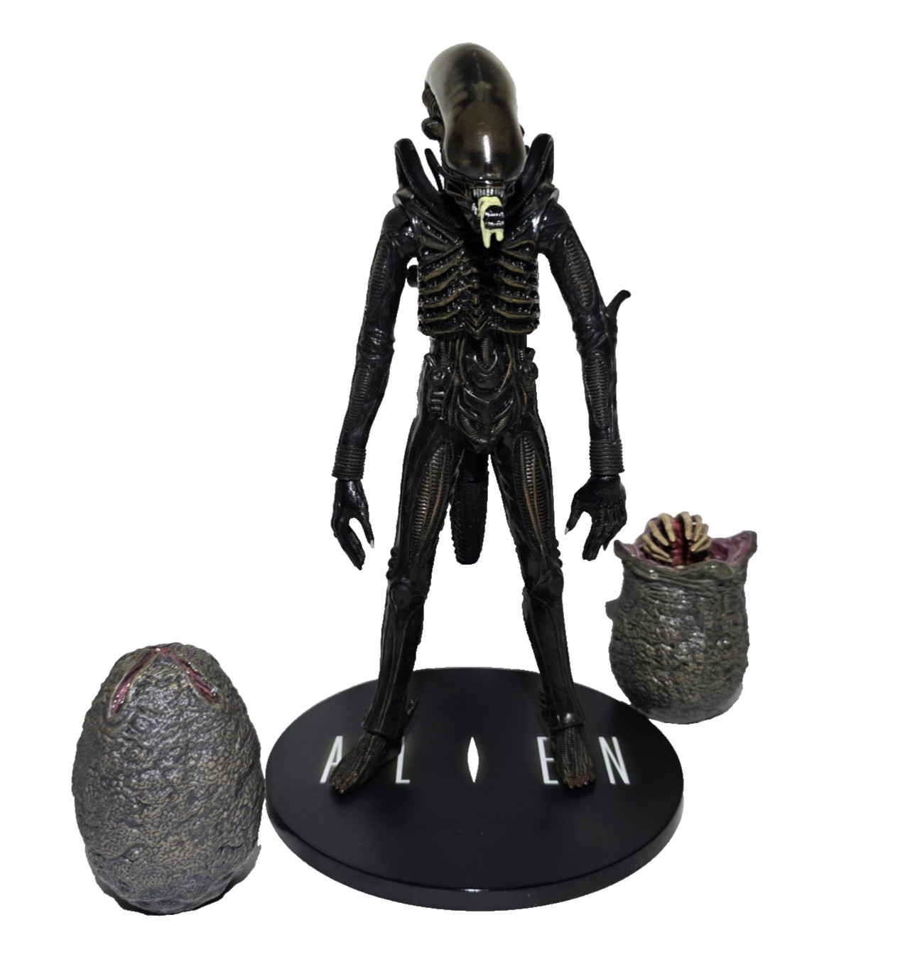 Xenomorpha Alien 8 inch Action Figure