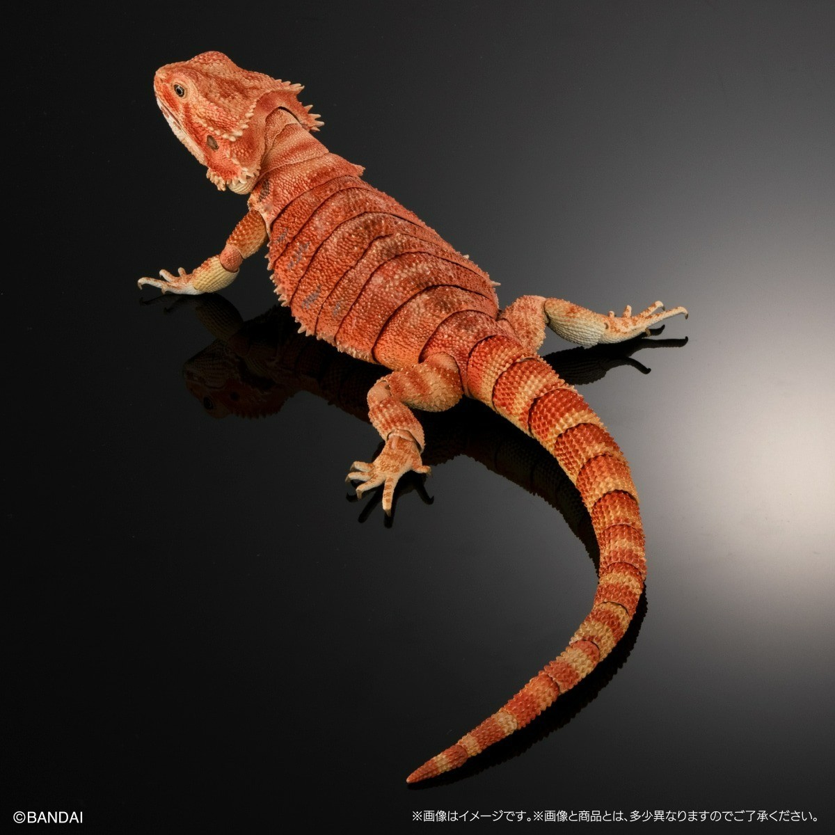 Bandai Diversity of Life on Earth Premiuml Bearded Dragon Red Figure 36cm Japan