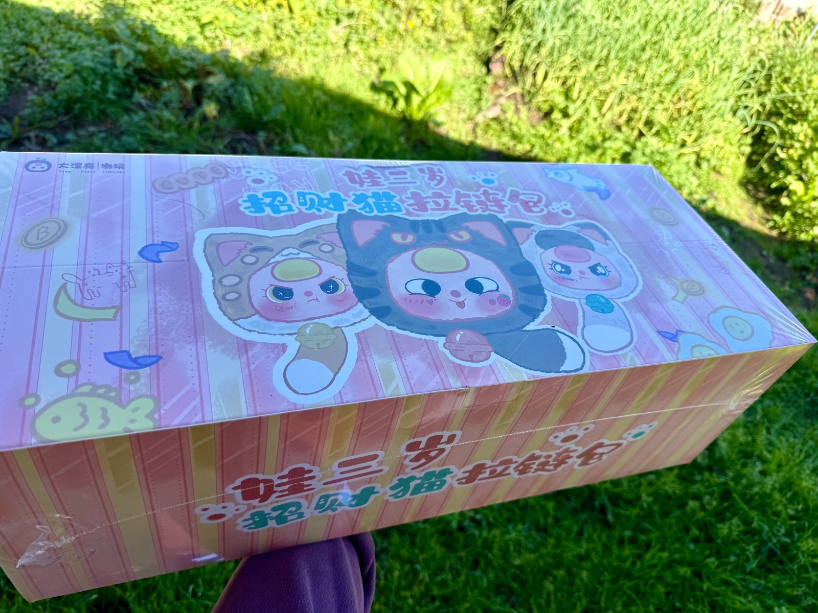 Full Case of BABY THREE Fortune Cats (6 big box)