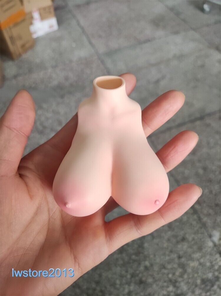 1:6 Big Bust Breast Cover Replacement Model For 12 » Female PH TBL Figure Body