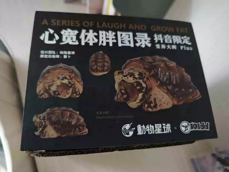 Animal Planet Animal Heavenly Body Macroclemys Temminckii Tiktok Plus Ver. Toys