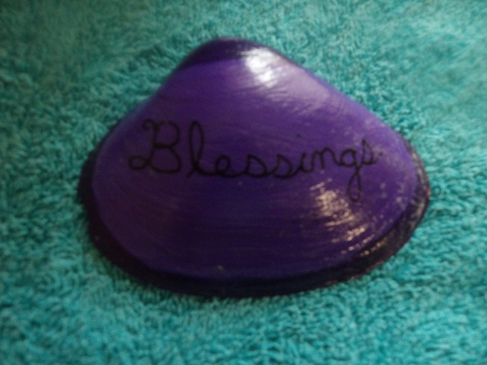 Magic By The Seashell, Enchanted & Powerful Seashells, You Choose Color & Intent