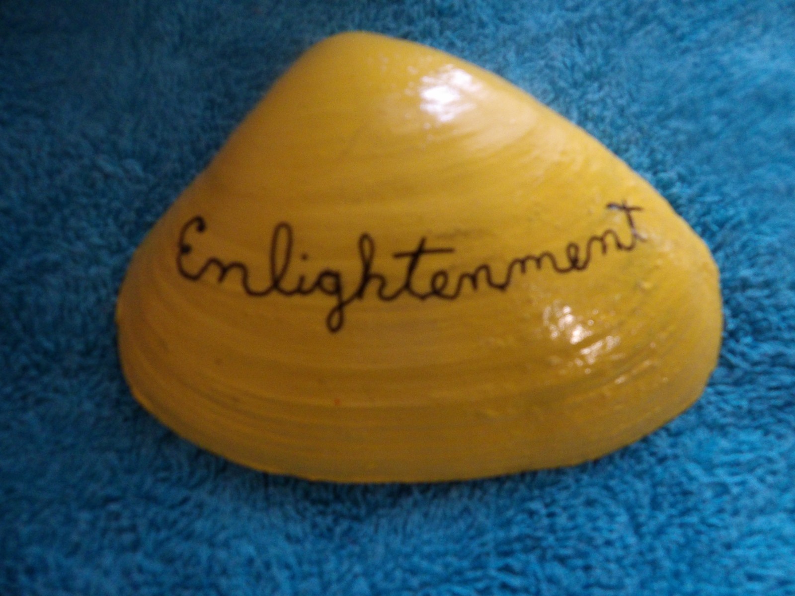 Magic By The Seashell, Enchanted & Powerful Seashells, You Choose Color & Intent