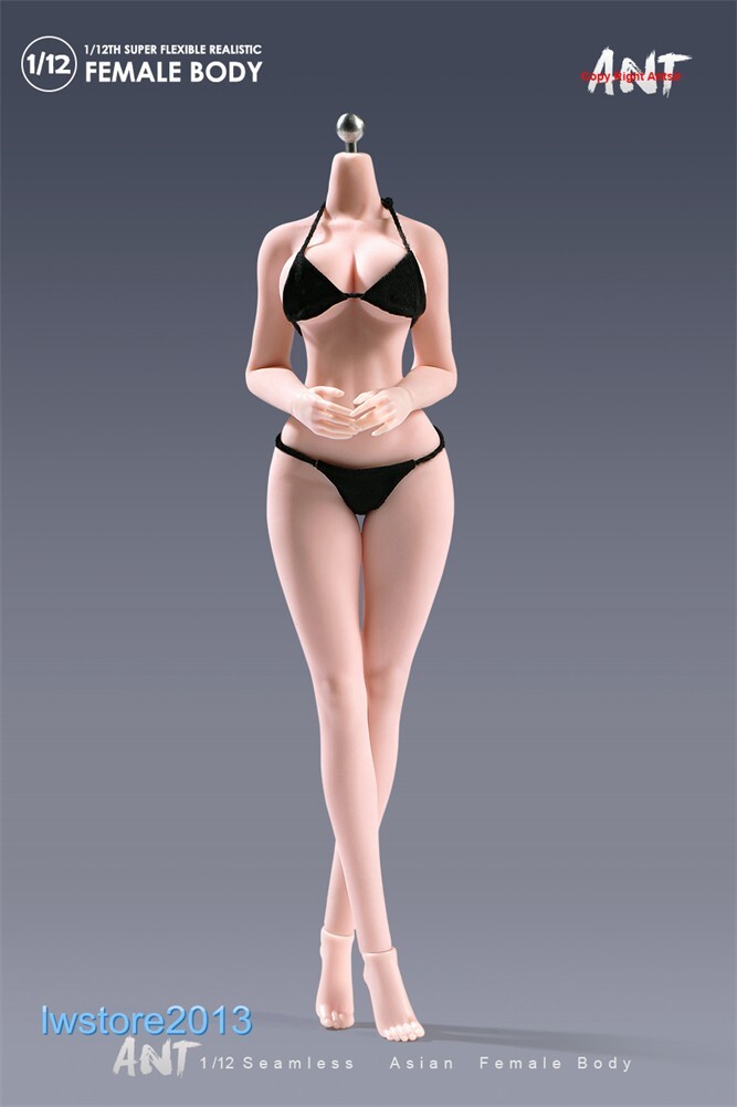 US ANT 1:12 Pale Large Bust Plump Hip 6&Prime; Seamless Female Action Figure Body Toys
