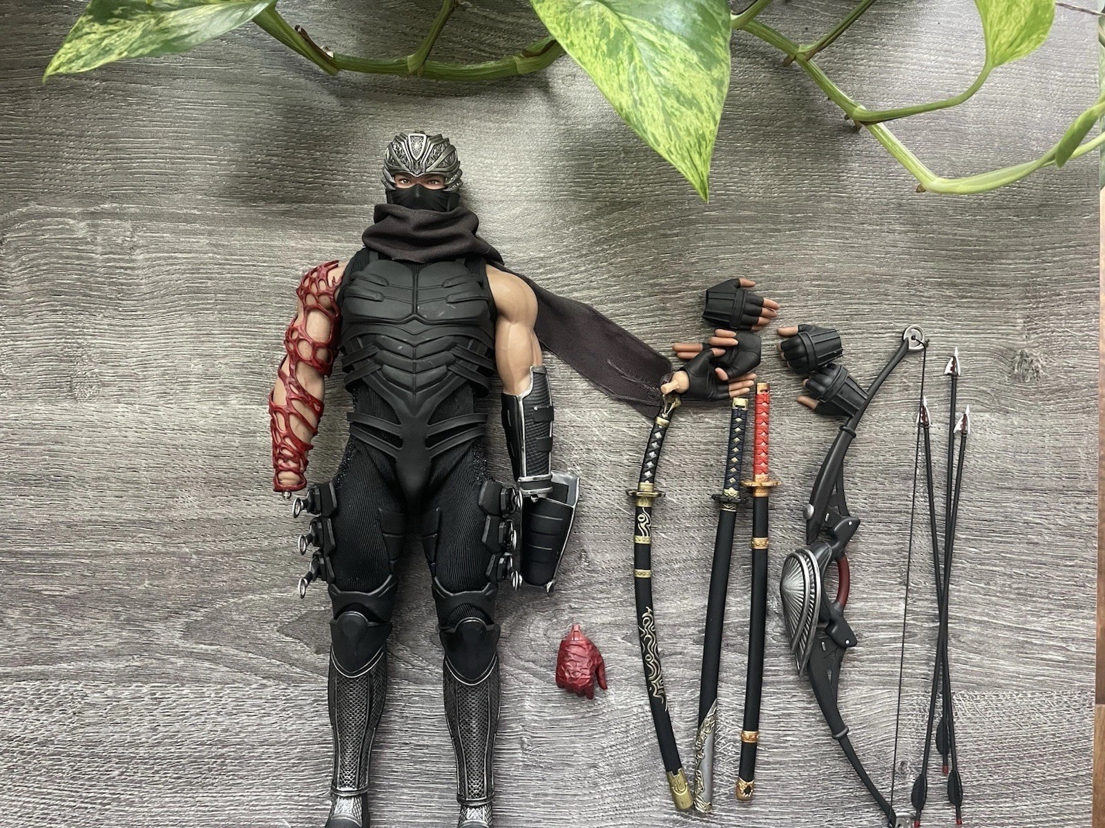 SW TOYS ninja Gaiden Ryu Hayabusa Phicen Body 1/6 Custom