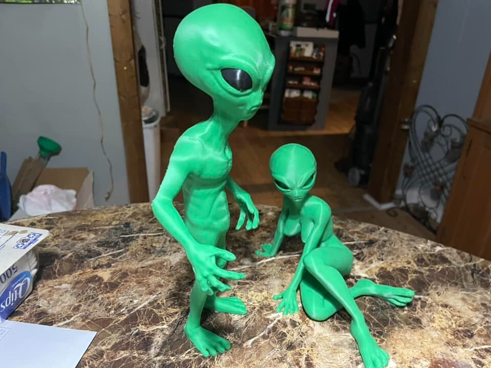 Grey/Green Alien Action Figure Set! 12&Prime;