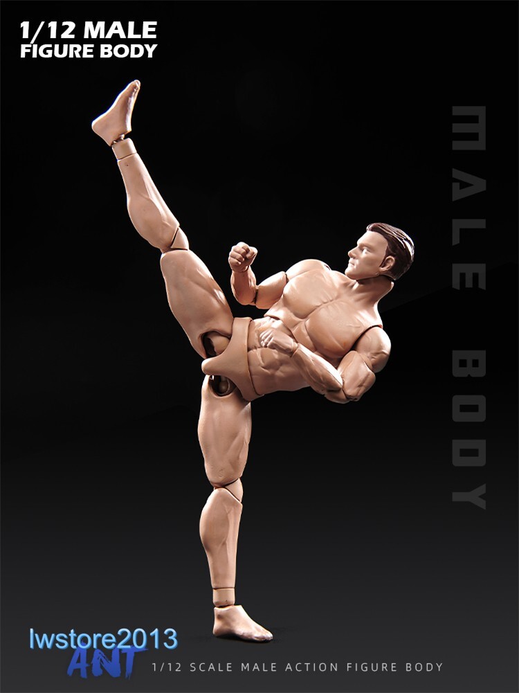 In Stock ANT 1:12 AM116 Muscular 6 inch Male Action Figure Head Body Shoes Toys