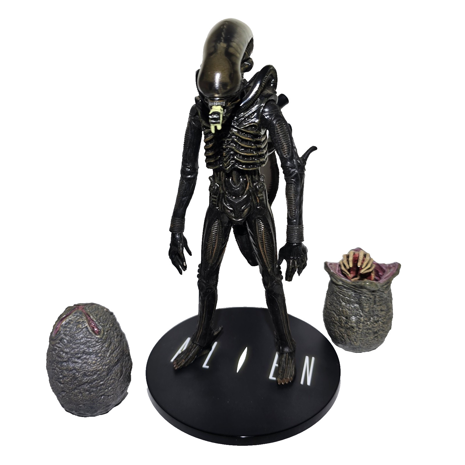 Xenomorpha Alien 8 inch Action Figure