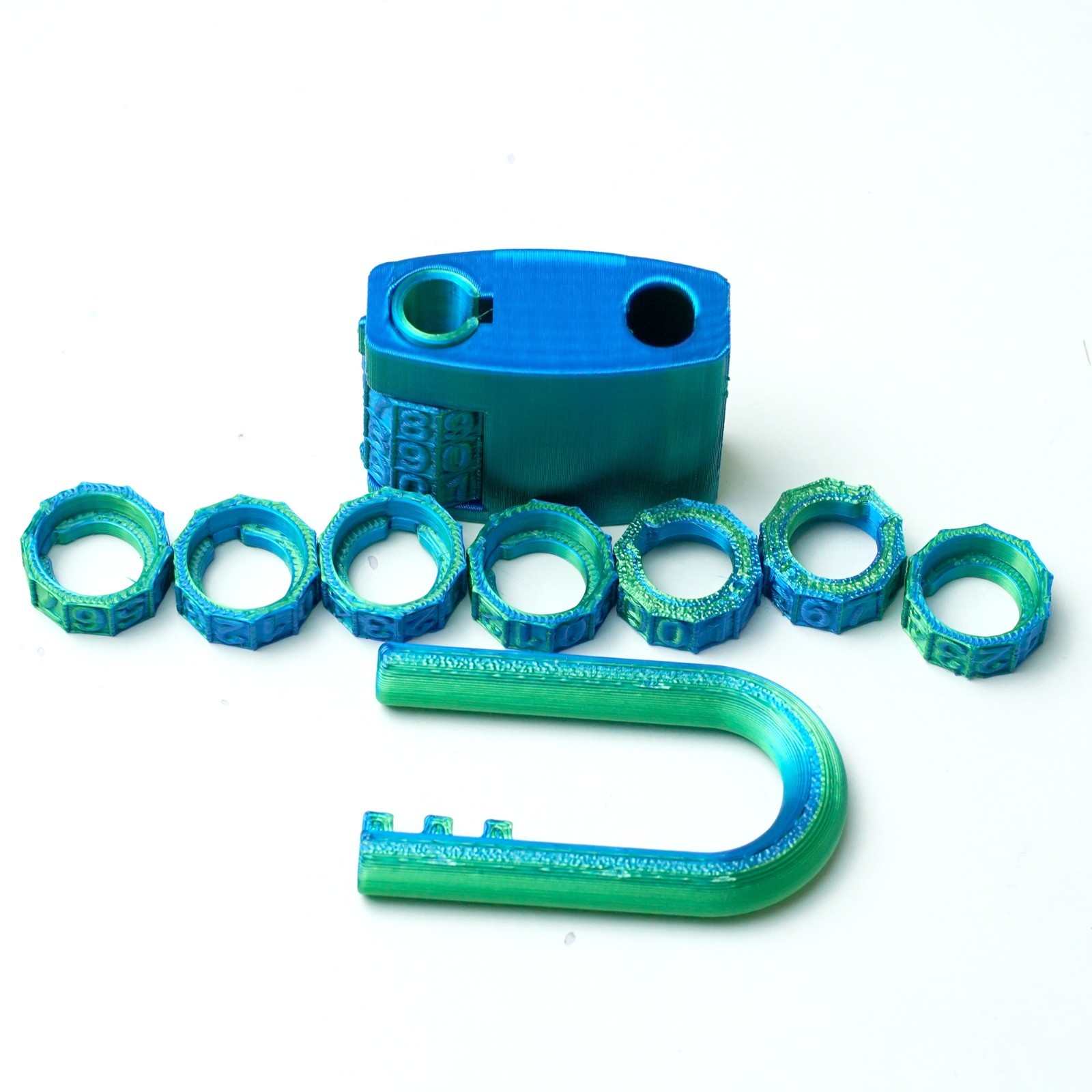 2PCS 3D Printed Lock Model,Articulated Animals figure,Fidget Toys Home Decor