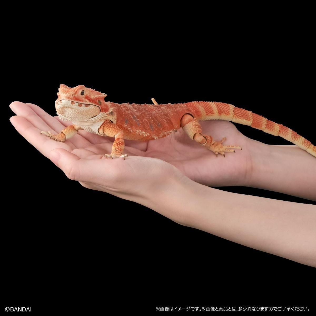 Bandai Diversity of Life on Earth Premiuml Bearded Dragon Red Figure 36cm Japan