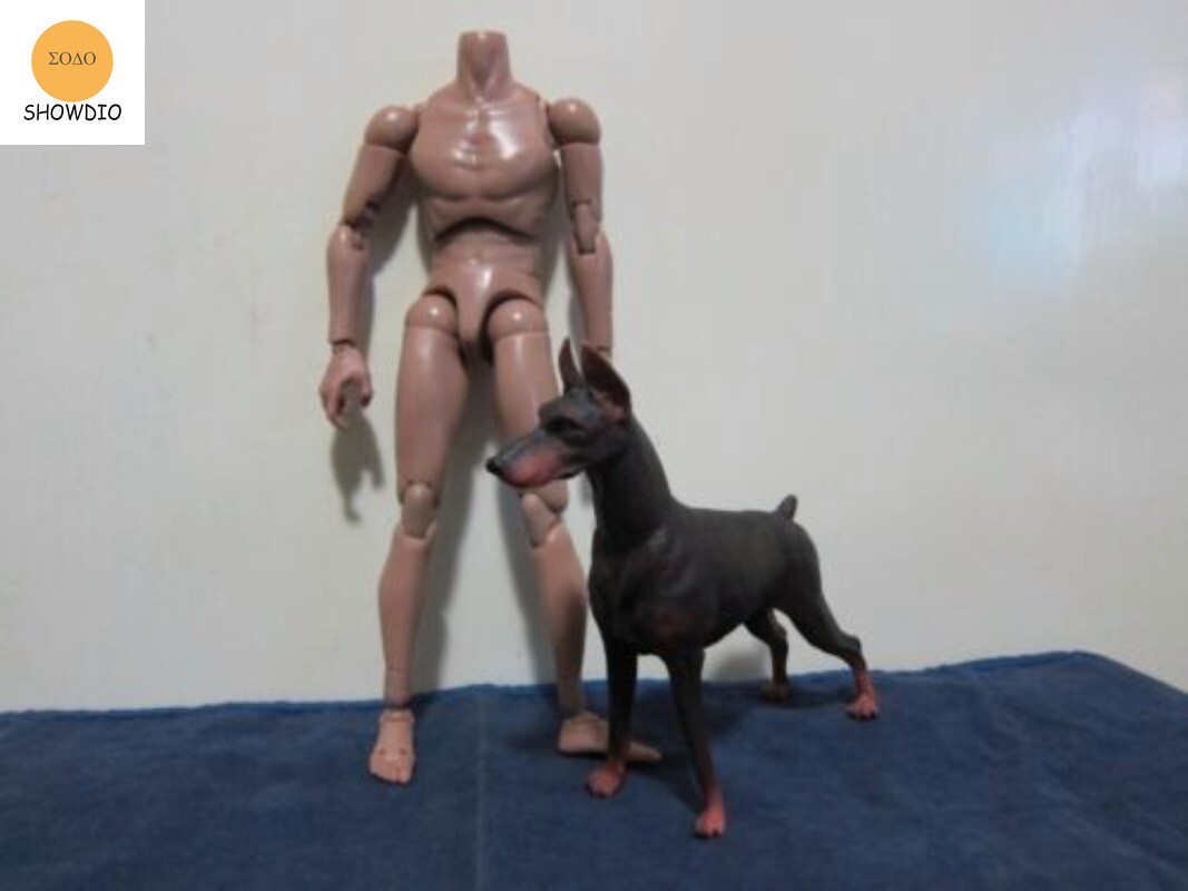 1/6 Scale Simulation Dogs Figure Shepherd Husky Rottweiler For 12&Prime;Action Scene