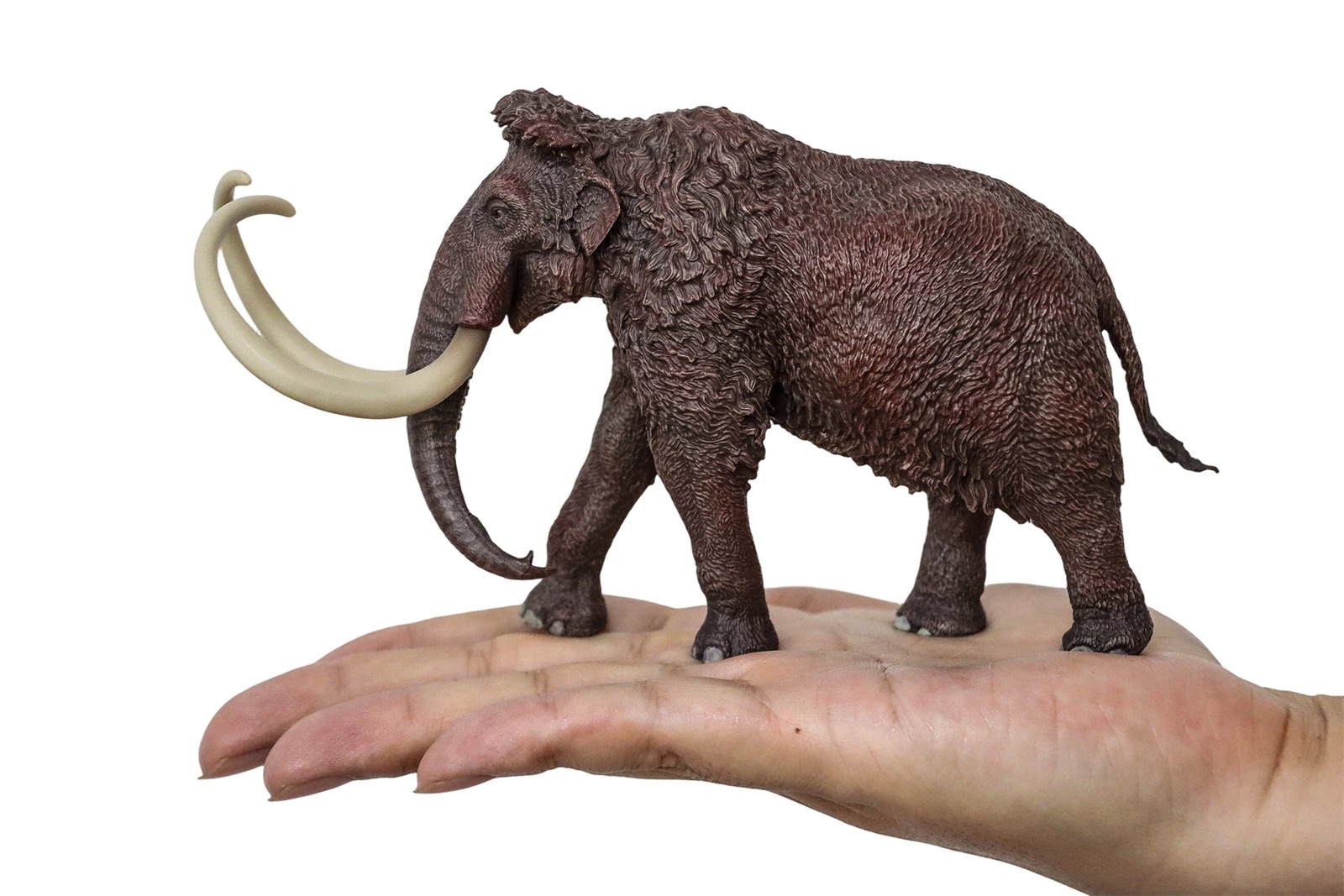 HAOLONGGOOD 1:35 Scale Woolly Mammoth Model Mammuthus Primigenius Animal Decor