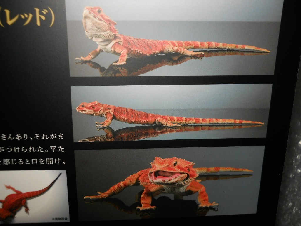 Bandai Diversity of Life on Earth Premiuml Bearded Dragon Red Figure 36cm Japan