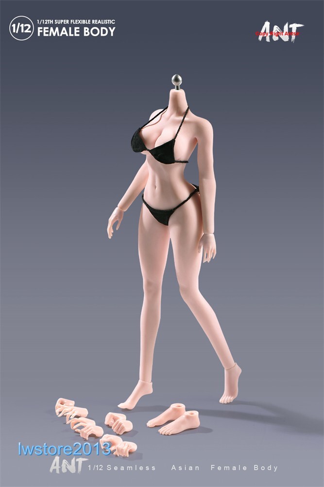 US ANT 1:12 Pale Large Bust Plump Hip 6&Prime; Seamless Female Action Figure Body Toys