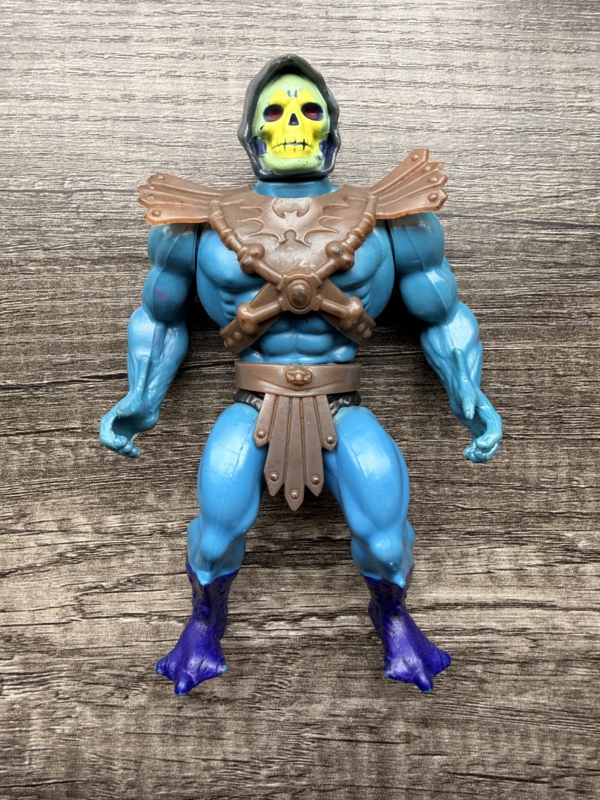 Leo India Mid Blue Skeletor – Vintage, MOTU Masters of the Universe