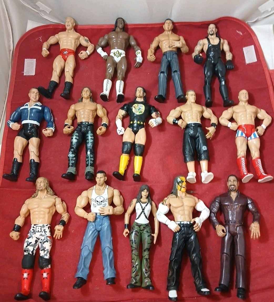 WWE Figure Lot Jeff Hardy Matt Hardy Lita & Edge Hardy Boyz CM Punk John Cena