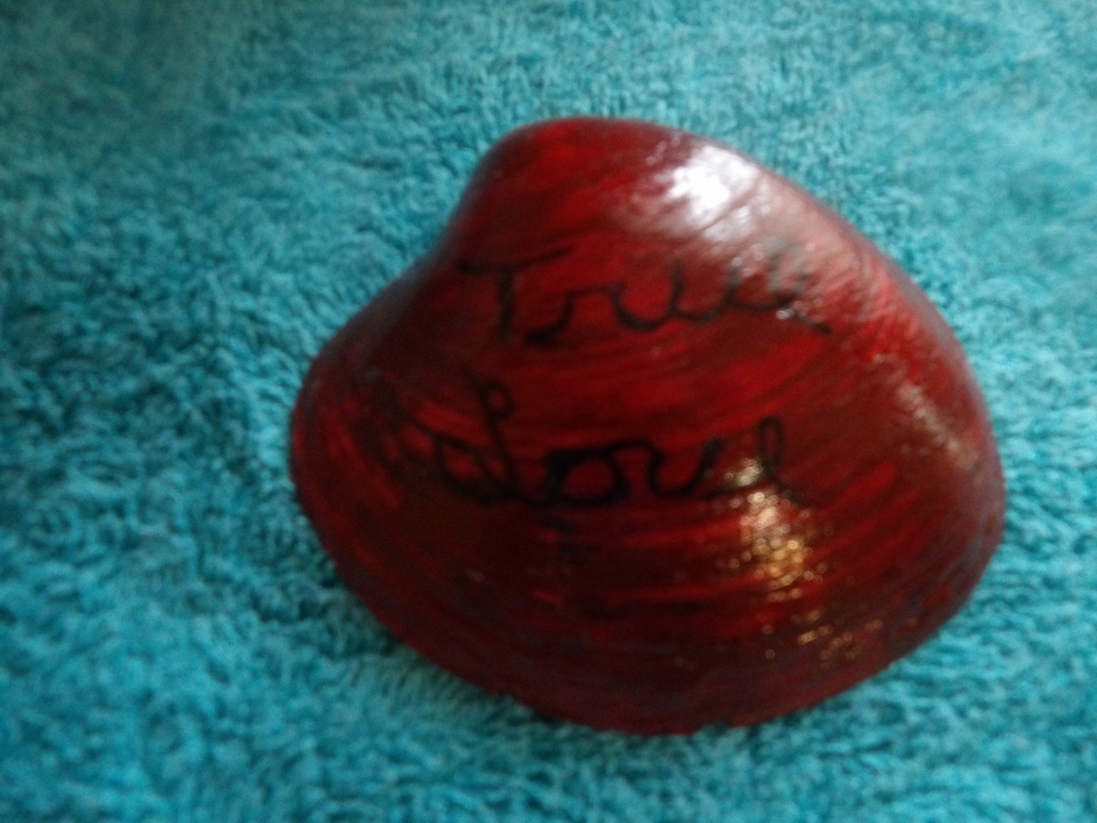 Magic By The Seashell, Enchanted & Powerful Seashells, You Choose Color & Intent