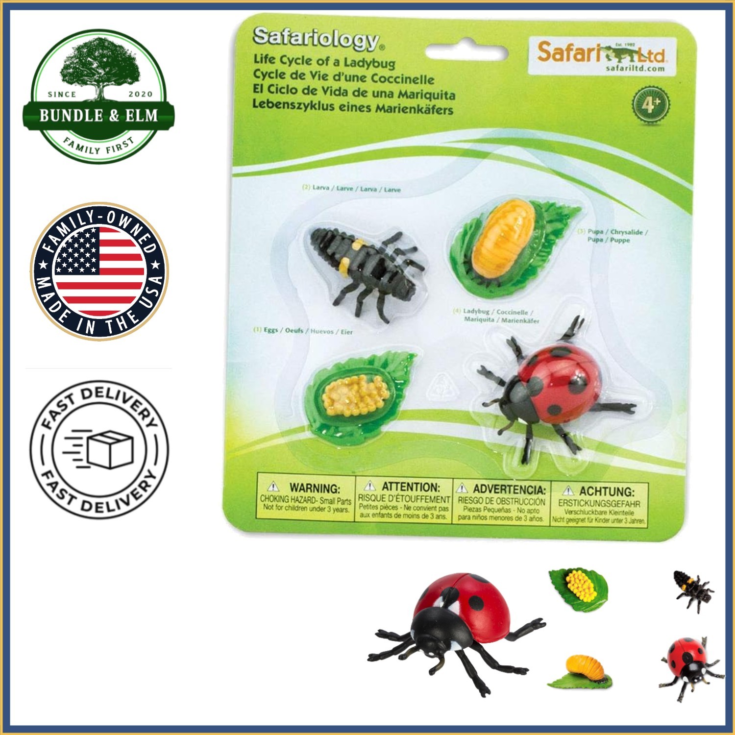Interactive Life Cycle of a Ladybug Toy for Ages 3+ with No Assembly Required