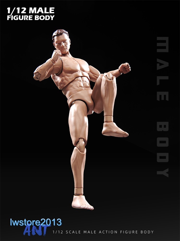 In Stock ANT 1:12 AM116 Muscular 6 inch Male Action Figure Head Body Shoes Toys