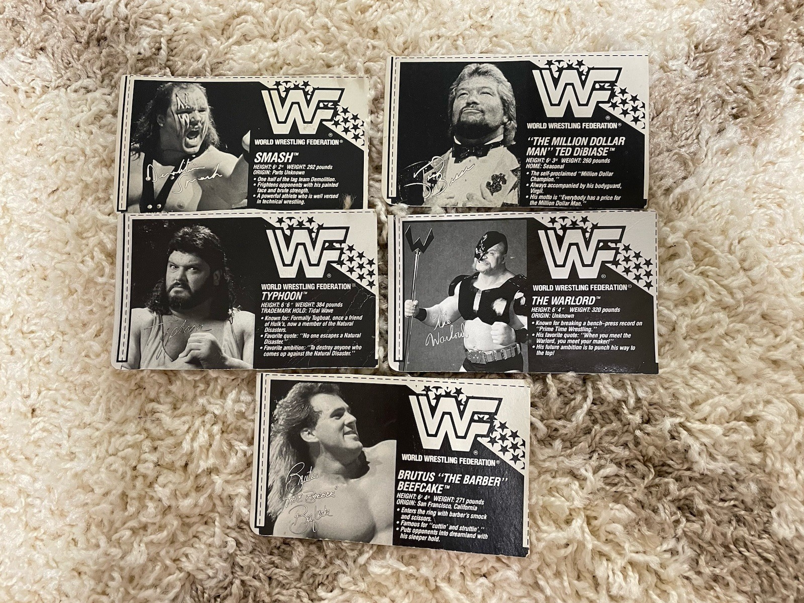 Vintage WWF Wrestling Hasbro Cardboard Bio Card LJN Lot Of 5 Demolition Dibiase