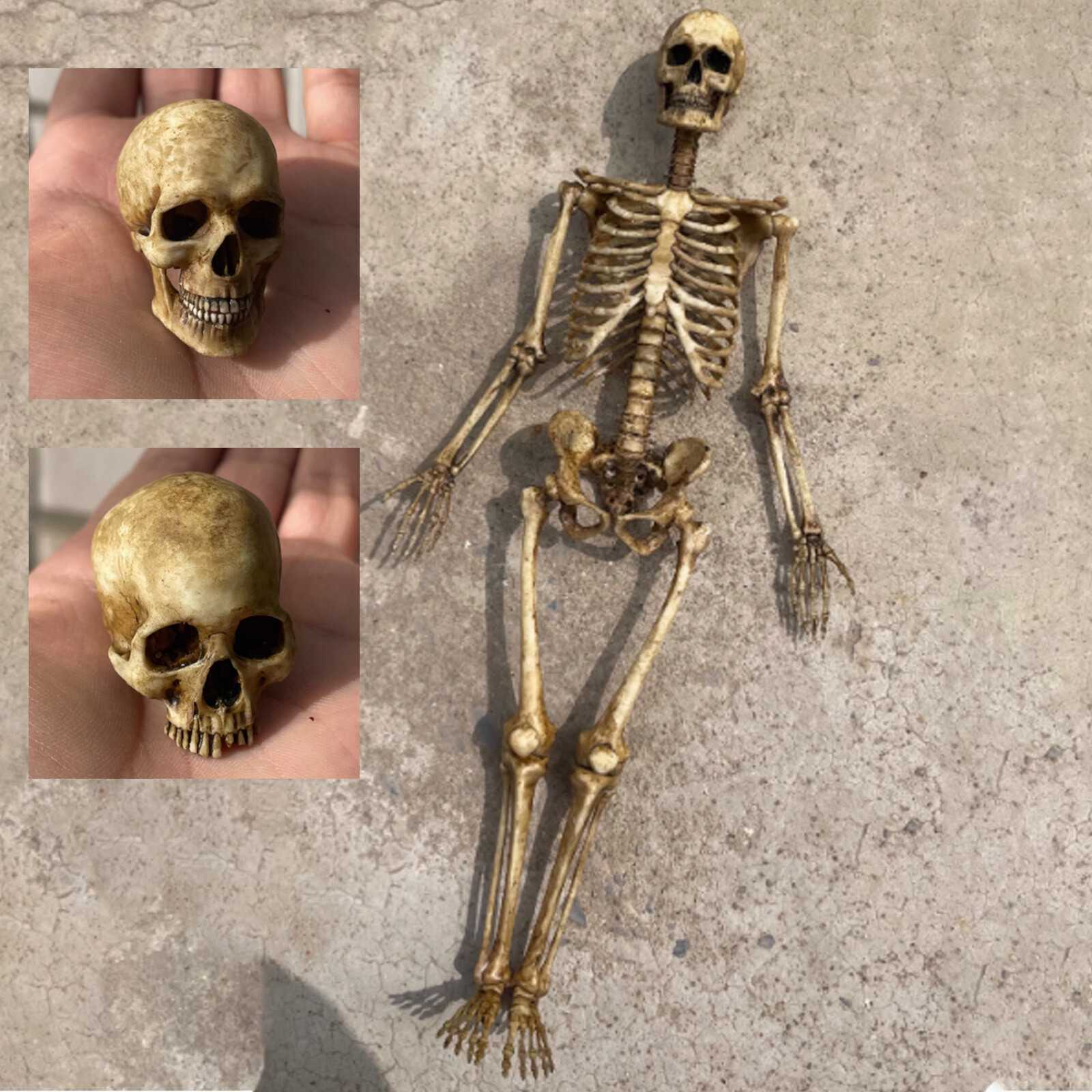 1:12 Scale Human Beings Skeleton PVC Models for 6&Prime; Action Figure Accessory Toys