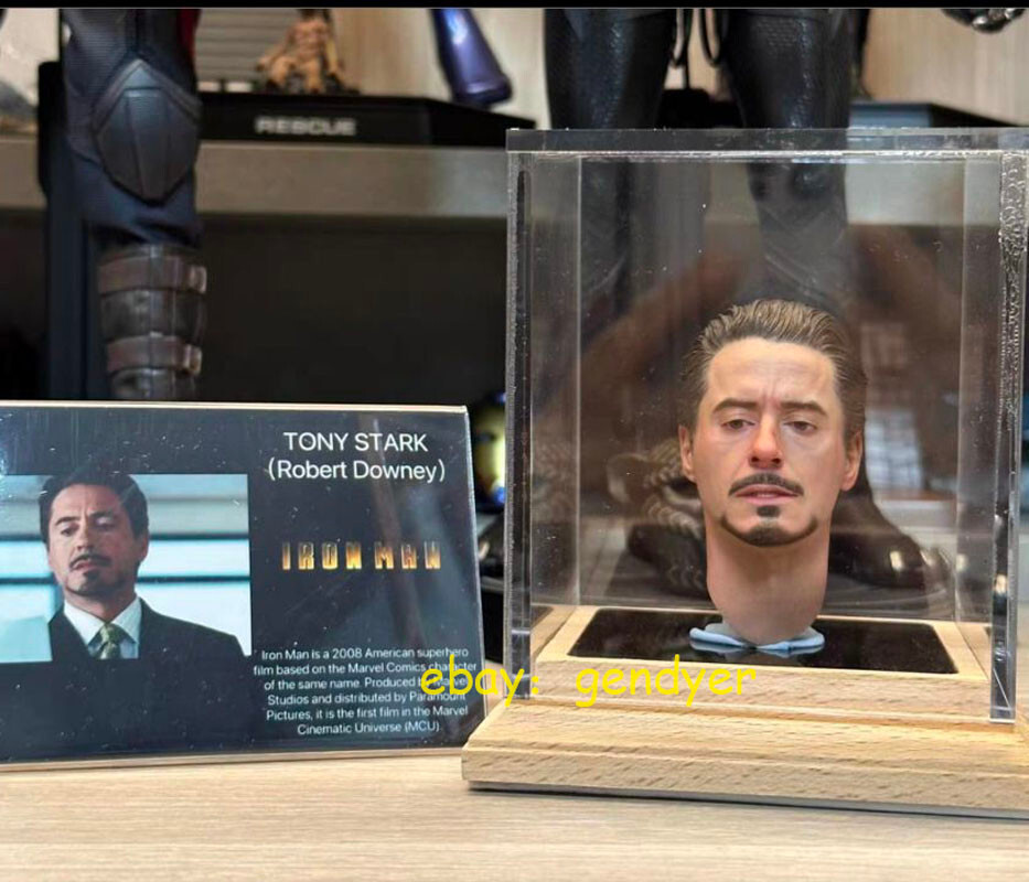 Rare Sixth star Studio Marvel Robert Downey Jr. Iron Man Head Sculpt Speech Ver