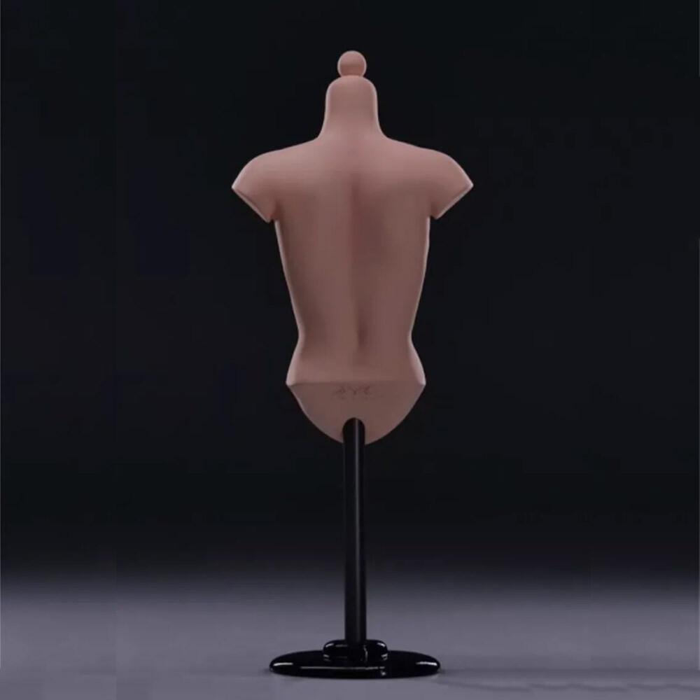 1/6 Female Body Bust Figure Doll Bust Display Stand for Resin Kit W/bracket USA