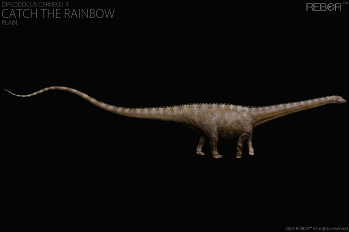 REBOR 1/35 Diplodocus Dinosaur Model Animal Figure Adult Kids Toys Ornament Gift