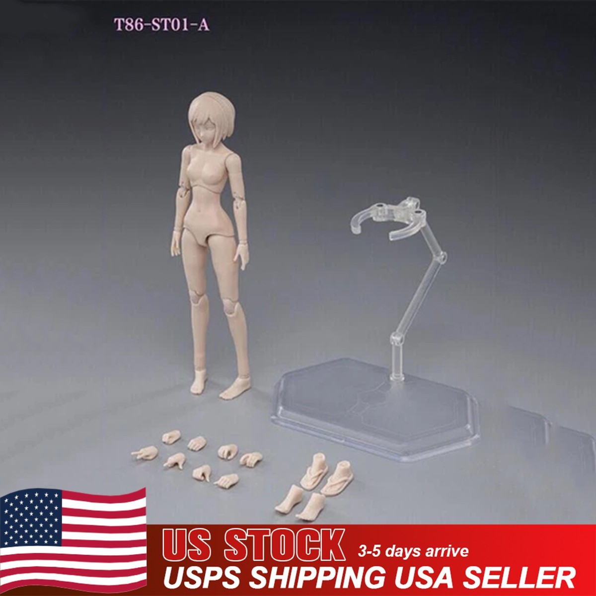 US 86TOYS 1:12 Female Joint Figure Head Body 6in Pale Skin Small Bust T86-ST01-A