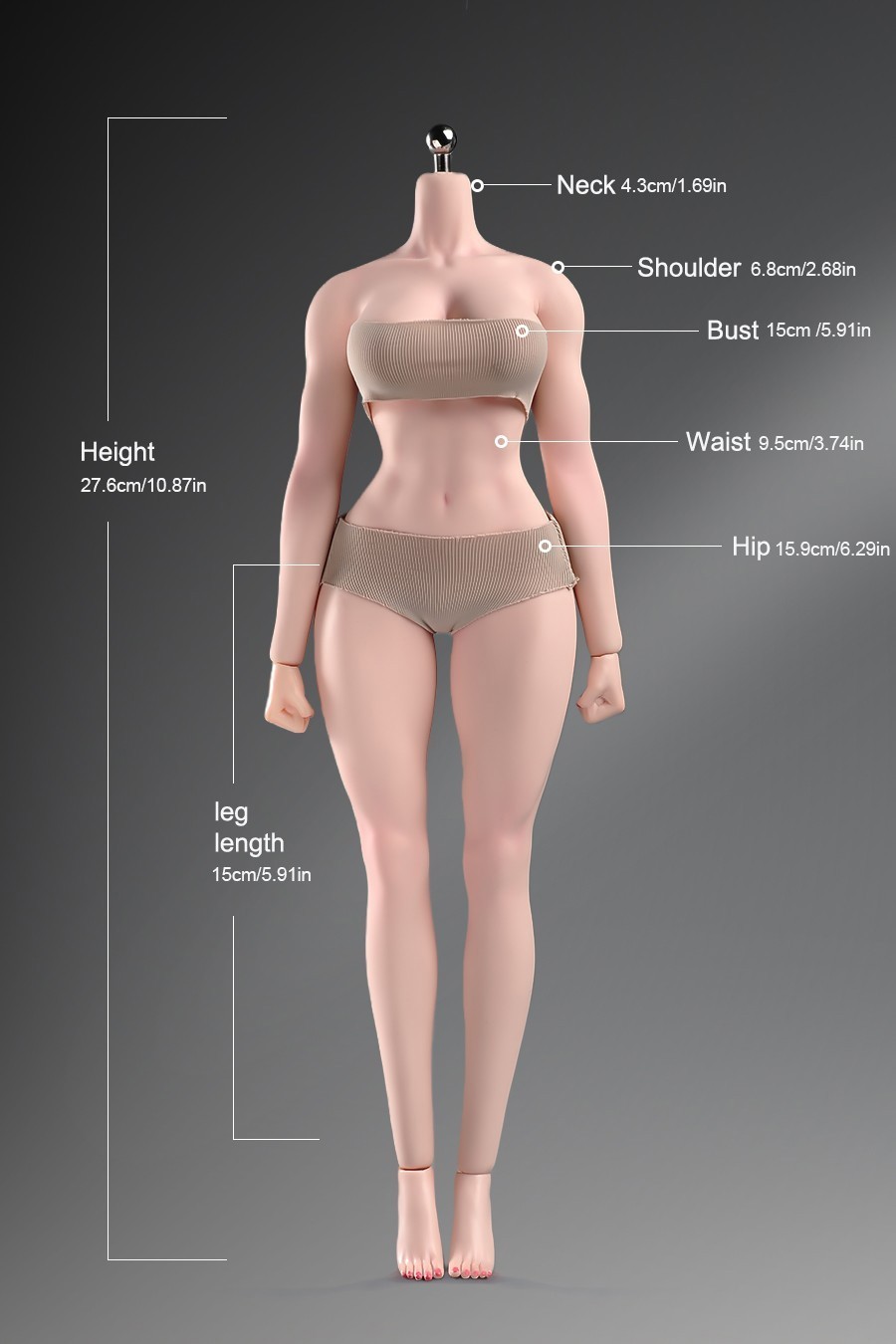 New ANT T307 1/6 Female Normal Sexy Large Bust Muscle Plump Body For 12 »Figure
