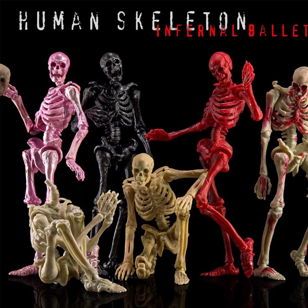 HIPLAY KEEPGOING Biology Classroom Human Skeleton Articulated Model 1/12 Figure
