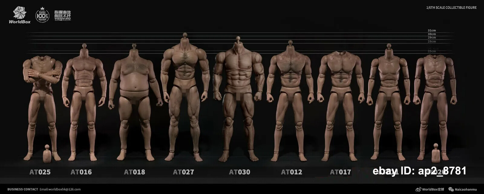 1/6 Scale Worldbox Male Muscular Strong Action Figure Body Fit 12&Prime; Head Sculpt