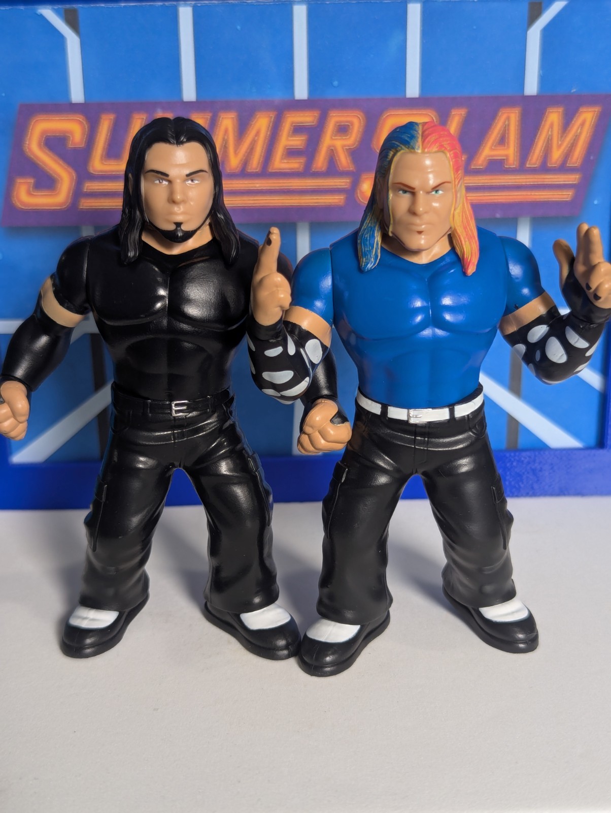 WWF Hasbro Hardy Boys – WSW FC WWE – 1 Of 650 – Wrestling Figures