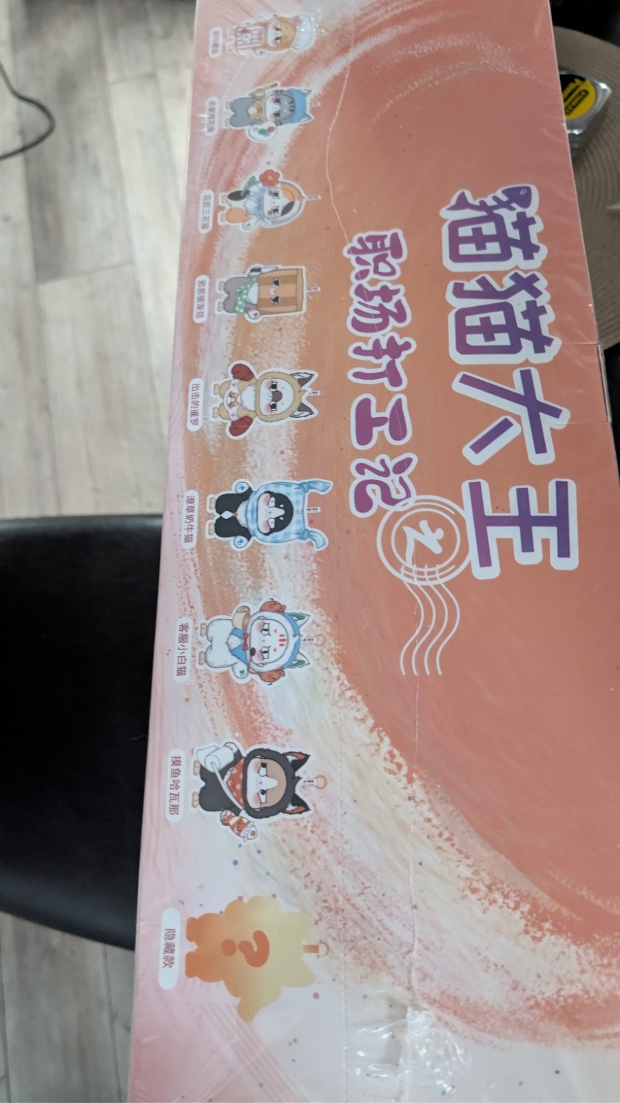 Meow King’s Office Worker Chronicles Blind Box Case