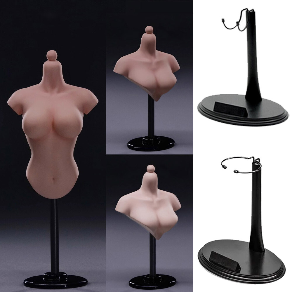 1/6 Female Body Bust Figure Doll Bust Display Stand for Resin Kit W/bracket USA