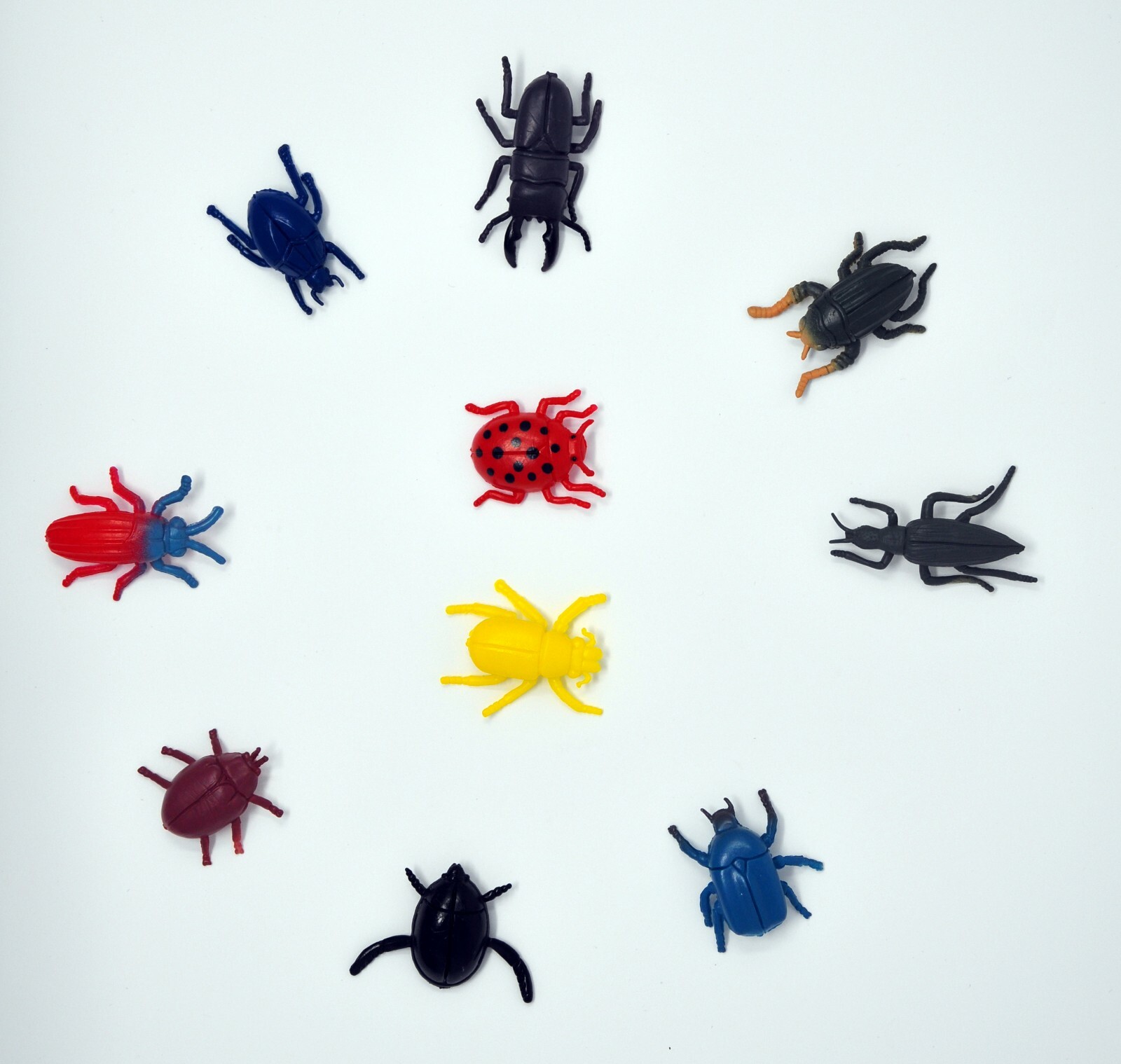 10-pc toy insects: beetles, ladybug, Cockroaches, insects identification toy