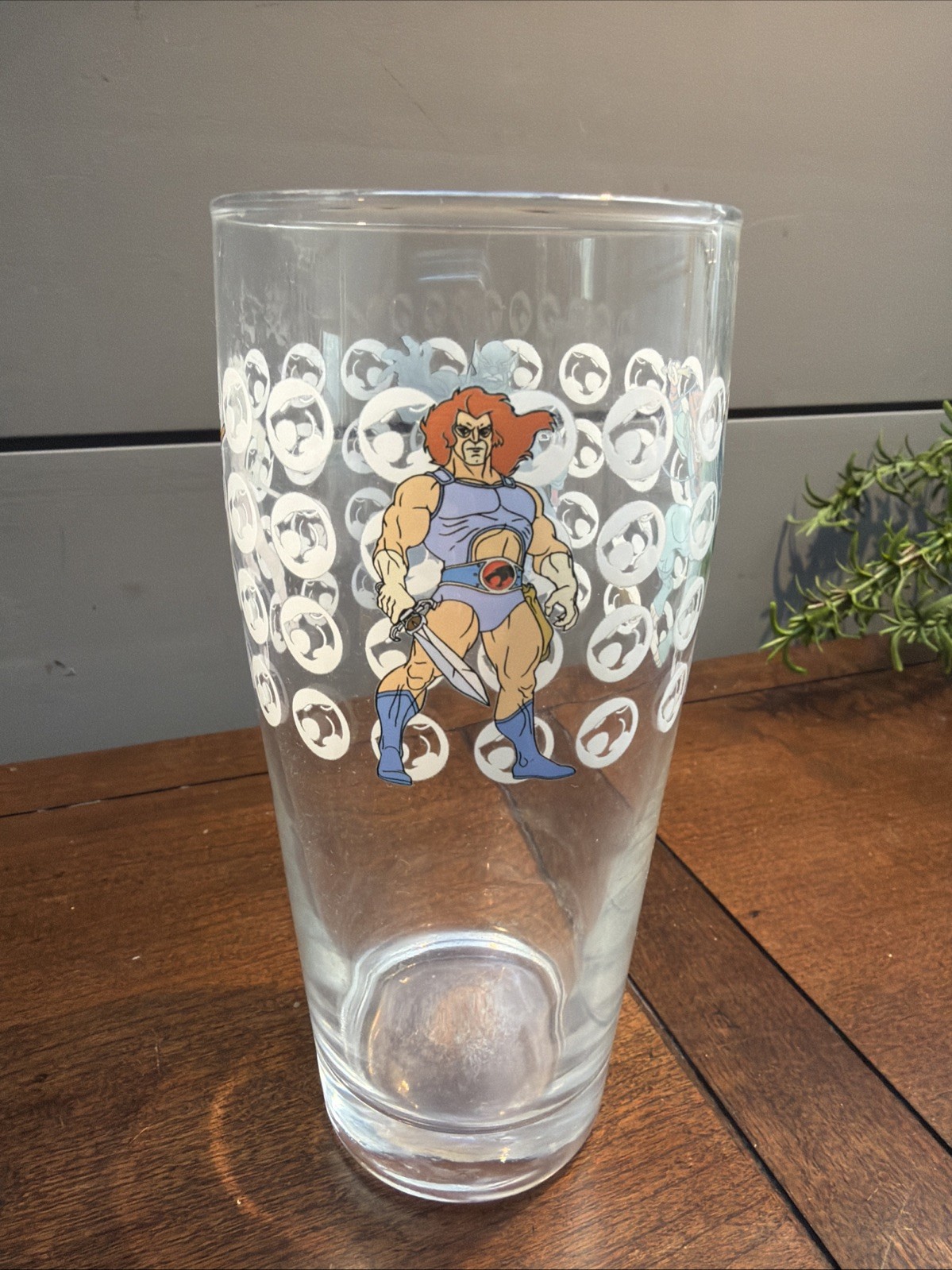 RARE HTF VTG Thundercats Lion-O Tygra Panthro Mumm-Ra Glass Telepix 1980’s