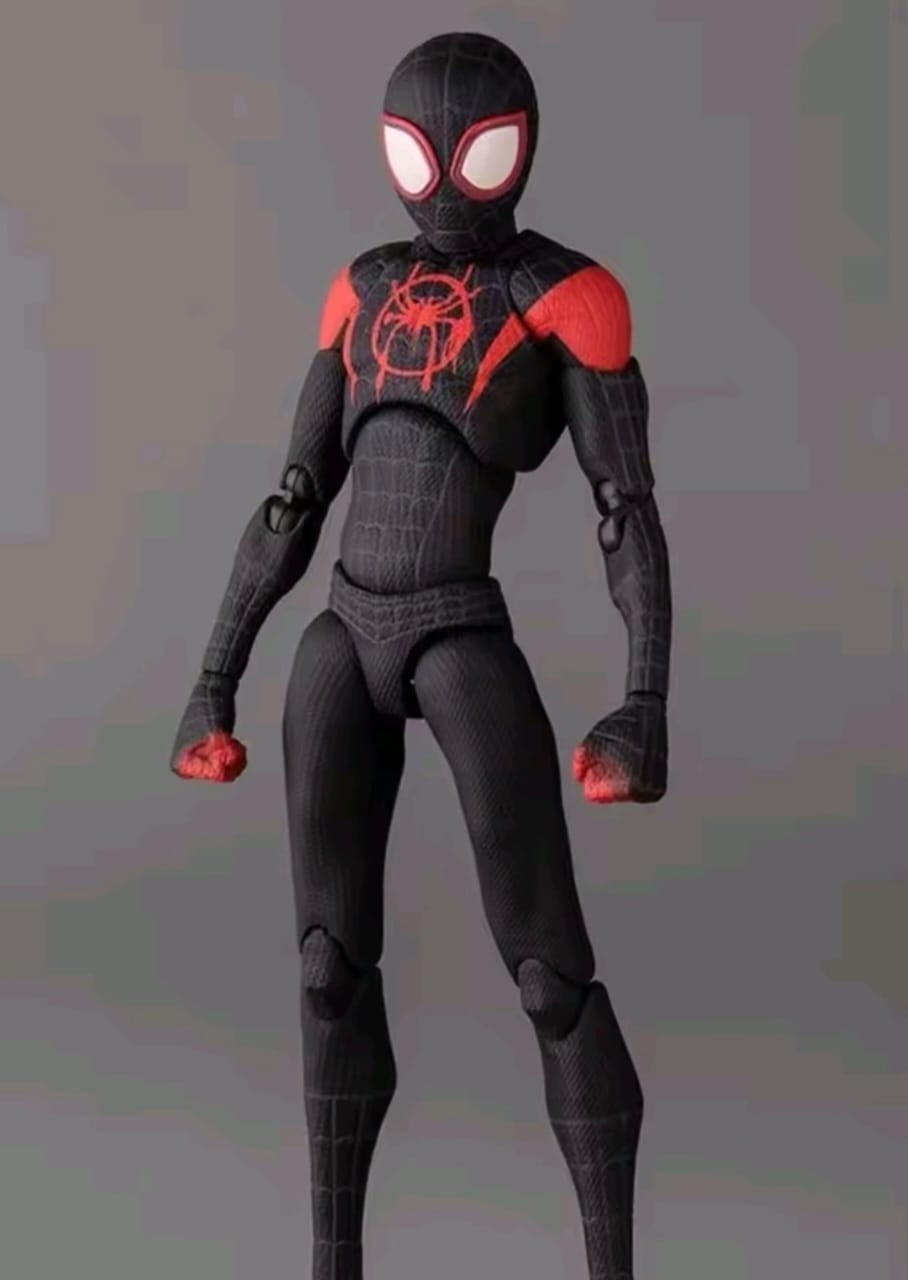SM Superhero Action Figure – New
