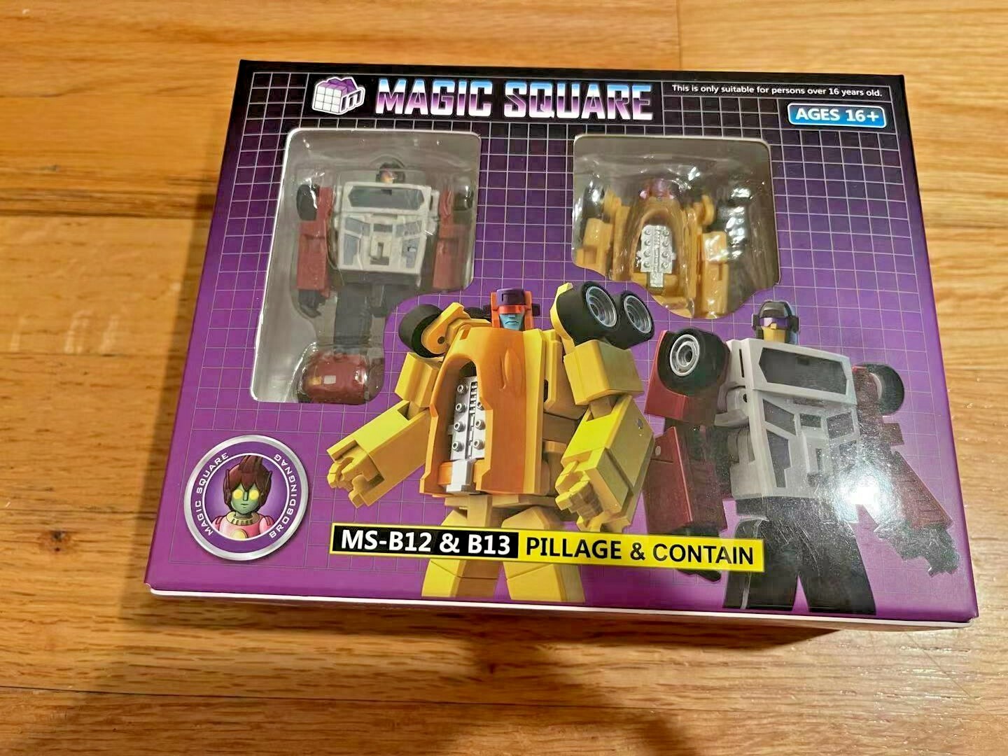 Transformabl Magic Square MS-B12 B13 Pillage Contain Organized, Decepticons USA